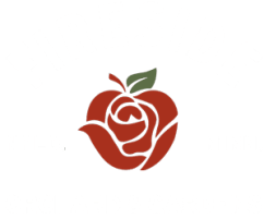 Fireside_Logo300